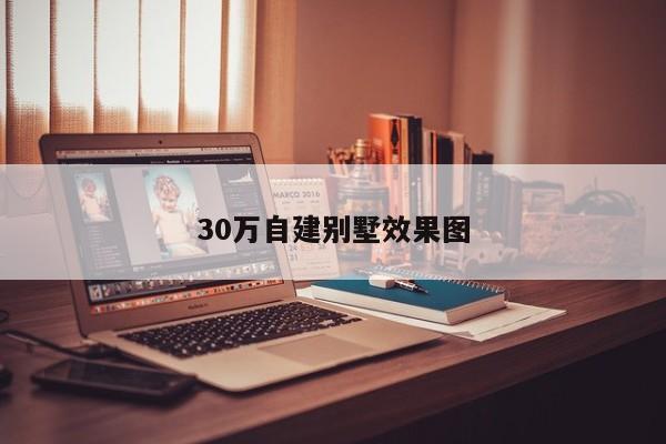 30万自建别墅效果图