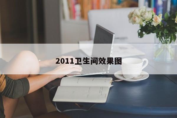 2011卫生间效果图