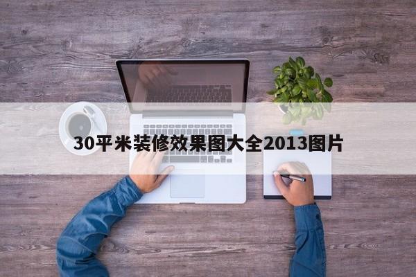 30平米装修效果图大全2013图片